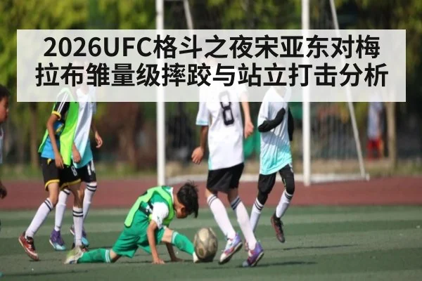 2026UFC格斗之夜宋亚东对梅拉布雏量级摔跤与站立打击分析
